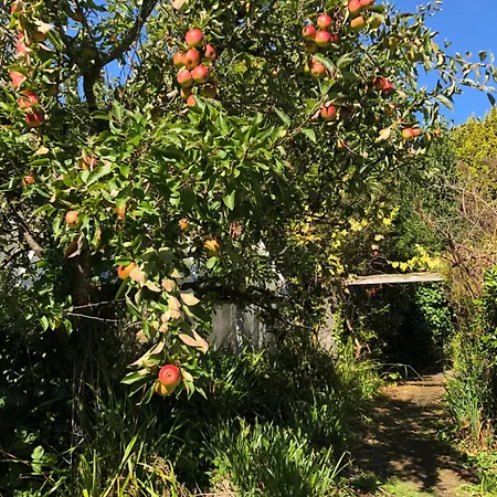 Shannon River House & Gardens * Limerick